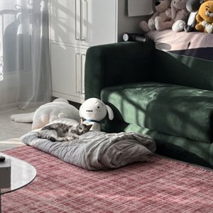 강아지 고양이 분양