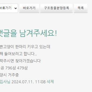 강아지 고양이 분양