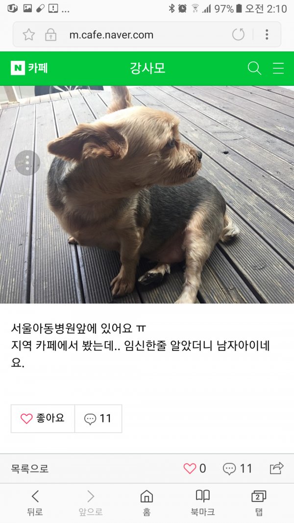 실종과 구조자의 재회성공담 : 동물보호센터