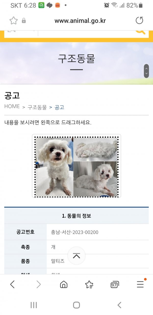 실종과 구조자의 재회성공담 : 동물보호센터