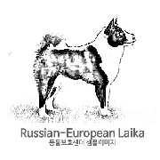 라이카/러시아-유럽 라이카