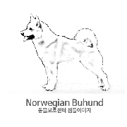노르웨이언 부훈트