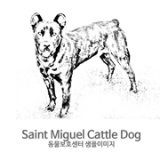 세인트 미겔 캐틀 독