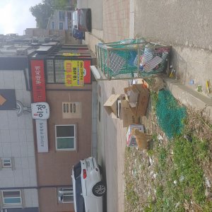 고양이 주인을 찾습니다 고양이 전단지