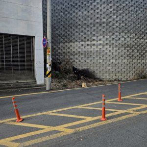 고양이 구조 기타묘종 대구광역시 동구