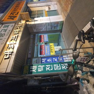 고양이 주인을 찾습니다 고양이 전단지