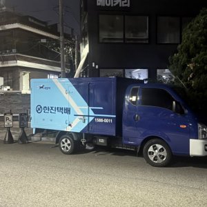 고양이 목격 기타묘종 서울특별시 광진구