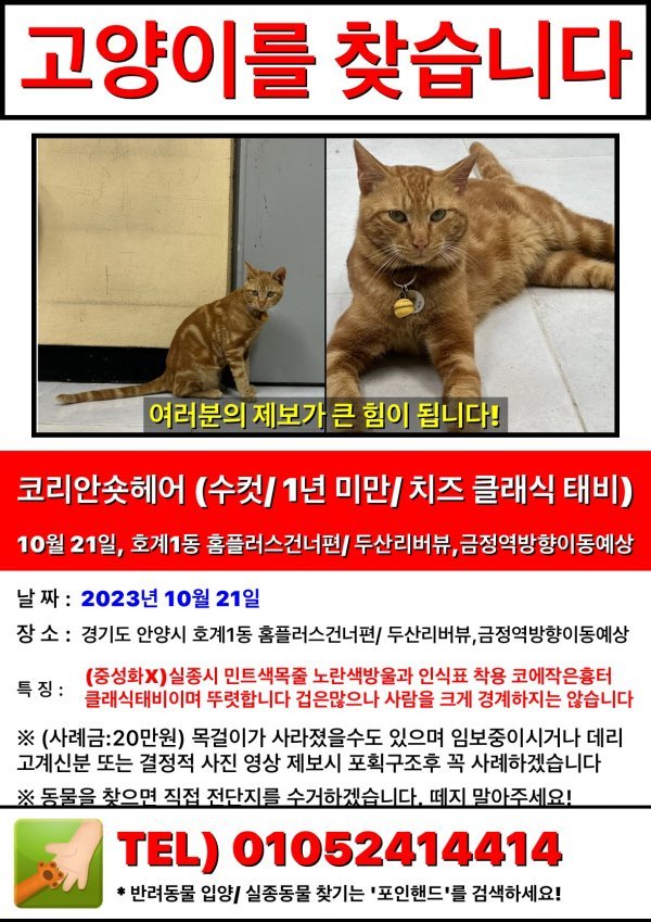 고양이를 찾습니다 고양이실종신고,보호,목격신고 : 동물보호센터