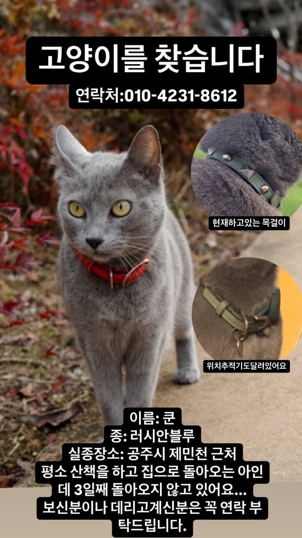 고양이를 찾습니다 고양이실종신고,보호,목격신고 : 동물보호센터
