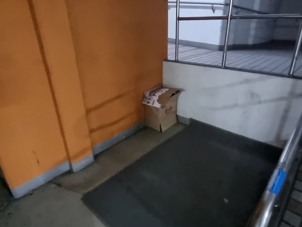 고양이를 찾습니다 고양이실종신고,보호,목격신고 : 동물보호센터