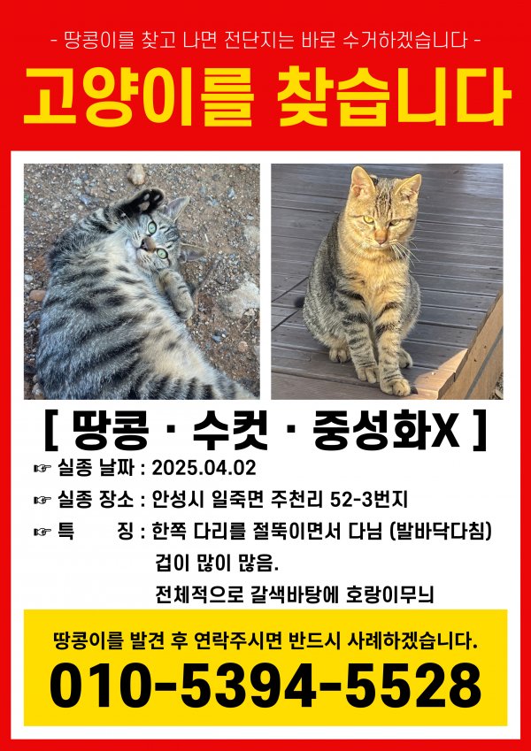 고양이를 찾습니다 고양이실종신고,보호,목격신고 : 동물보호센터
