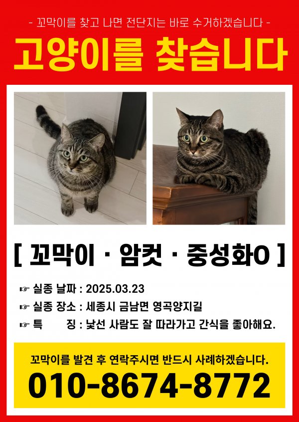 고양이를 찾습니다 고양이실종신고,보호,목격신고 : 동물보호센터