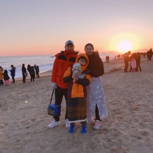 강아지를 찾습니다 강아지 전단지