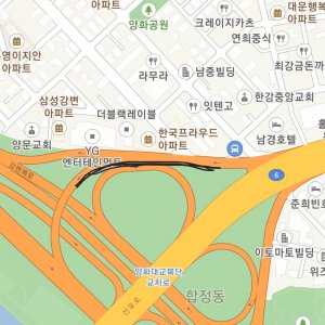 강아지 목격 시츄 서울특별시 마포구