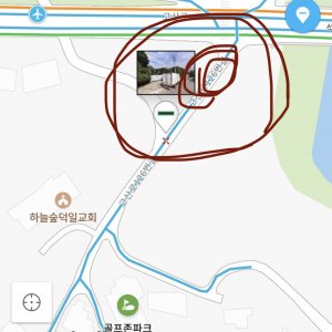 강아지 목격 기타견종 경기도 남양주시