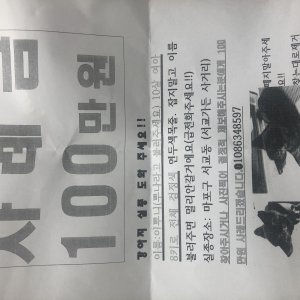 강아지를 찾습니다 믹스견 서울특별시 마포구