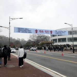 강아지 주인을 찾습니다 믹스견 경기도 용인시 기흥구