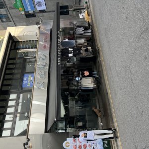 강아지 목격 불독 서울특별시 강남구