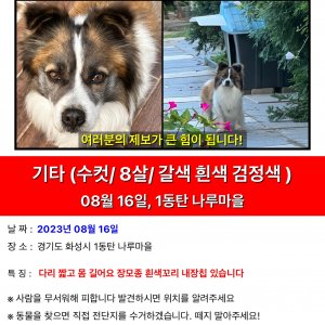 강아지를 찾습니다 기타견종 경기도 화성시