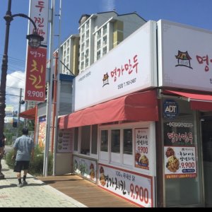 강아지를 찾습니다 강아지 전단지