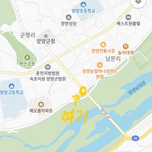 강아지 목격 포메라니언 강원도 양양군