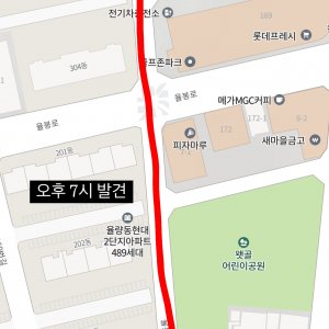 강아지를 찾습니다 진돗개 충청북도 청주시 청원구