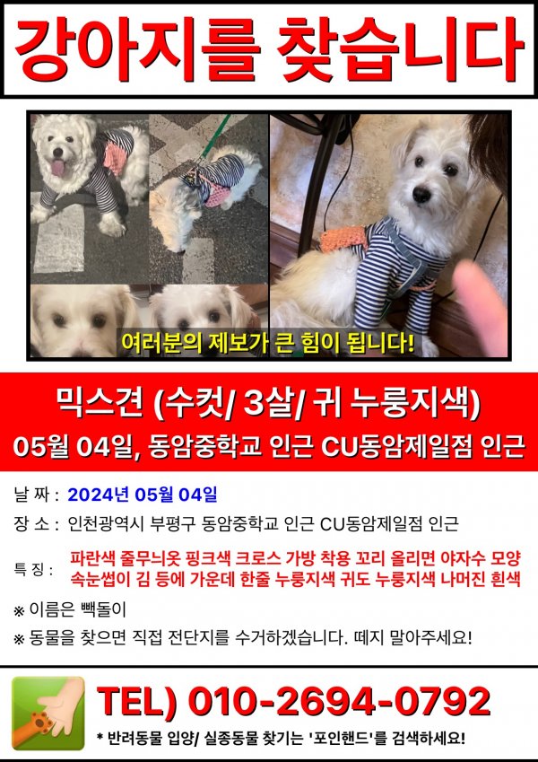강아지를 찾습니다 강아지실종신고,보호,목격신고 : 동물보호센터
