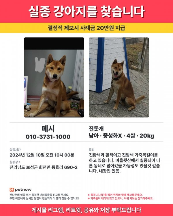 강아지를 찾습니다 강아지실종신고,보호,목격신고 : 동물보호센터