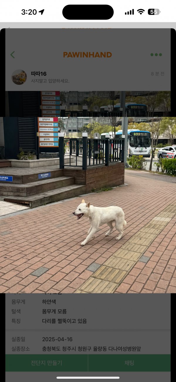 강아지를 찾습니다 강아지실종신고,보호,목격신고 : 동물보호센터