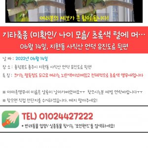 실종동물 앵무새 충청북도 충주시