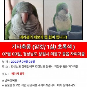 잃어버린 동물을 찾습니다 조류 경상남도 창원시 의창구