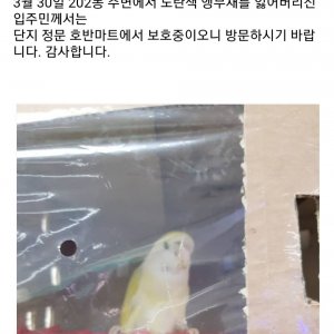 목격동물 조류 경기도 수원시 권선구