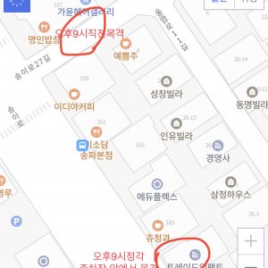 목격동물 페럿 서울특별시 송파구