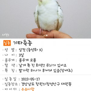 실종동물 조류 경상남도 창원시 성산구