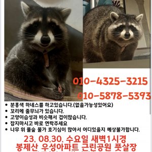 잃어버린 동물을 찾습니다 기타 서울특별시 강서구