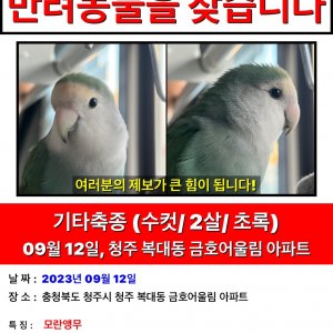 실종동물 조류 충청북도 청주시 흥덕구