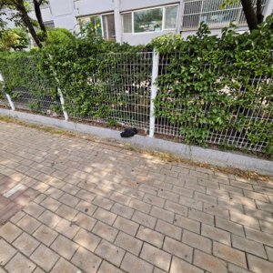 목격동물 조류 경상남도 김해시