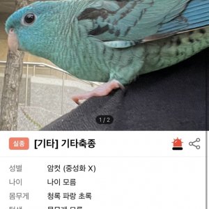 실종동물 조류 인천광역시 동구