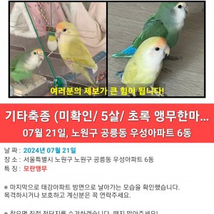 실종동물 조류 서울특별시 노원구