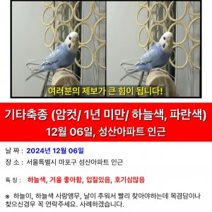 잃어버린 동물을 찾습니다 분실동물 전단지
