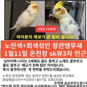 실종동물 조류 부산광역시 동래구