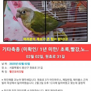 실종동물 조류 서울특별시 용산구