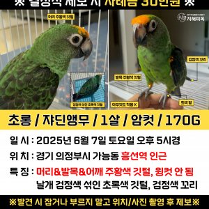 실종동물 조류 경기도 의정부시