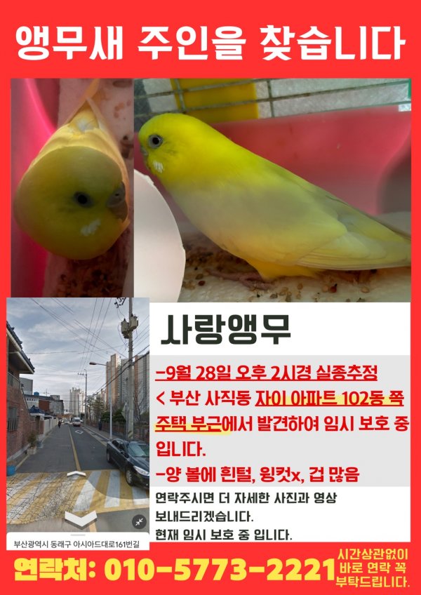 강아지,고양이,앵무새 등 실종동물을 찾습니다 보호,목격신고 : 동물보호센터