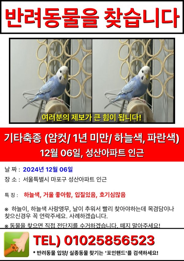 강아지,고양이,앵무새 등 실종동물을 찾습니다 보호,목격신고 : 동물보호센터