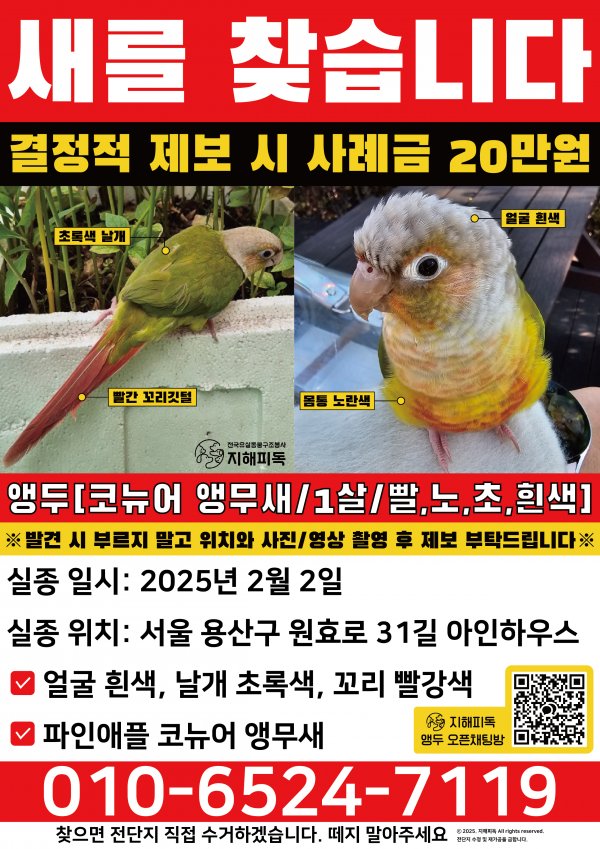 강아지,고양이,앵무새 등 실종동물을 찾습니다 보호,목격신고 : 동물보호센터