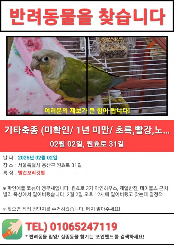 강아지,고양이,앵무새 등 실종동물을 찾습니다 보호,목격신고 : 동물보호센터